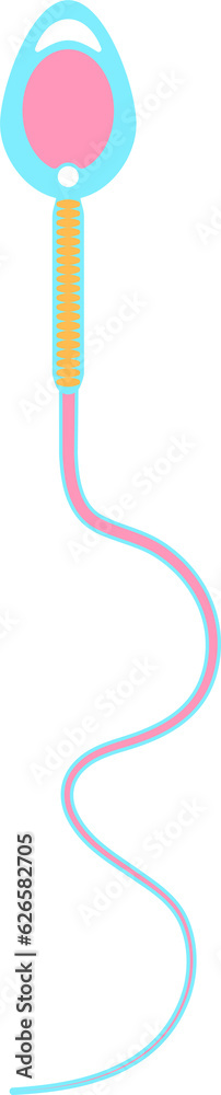Sperm Morphology Health Normal Sperm Sperm Morphology Health Normal Sperm