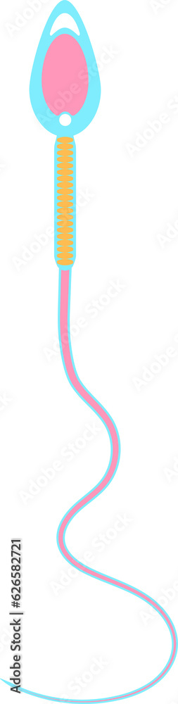 Sperm Morphology Head Defects Elongated Sperm Morphology Head Defects Elongated