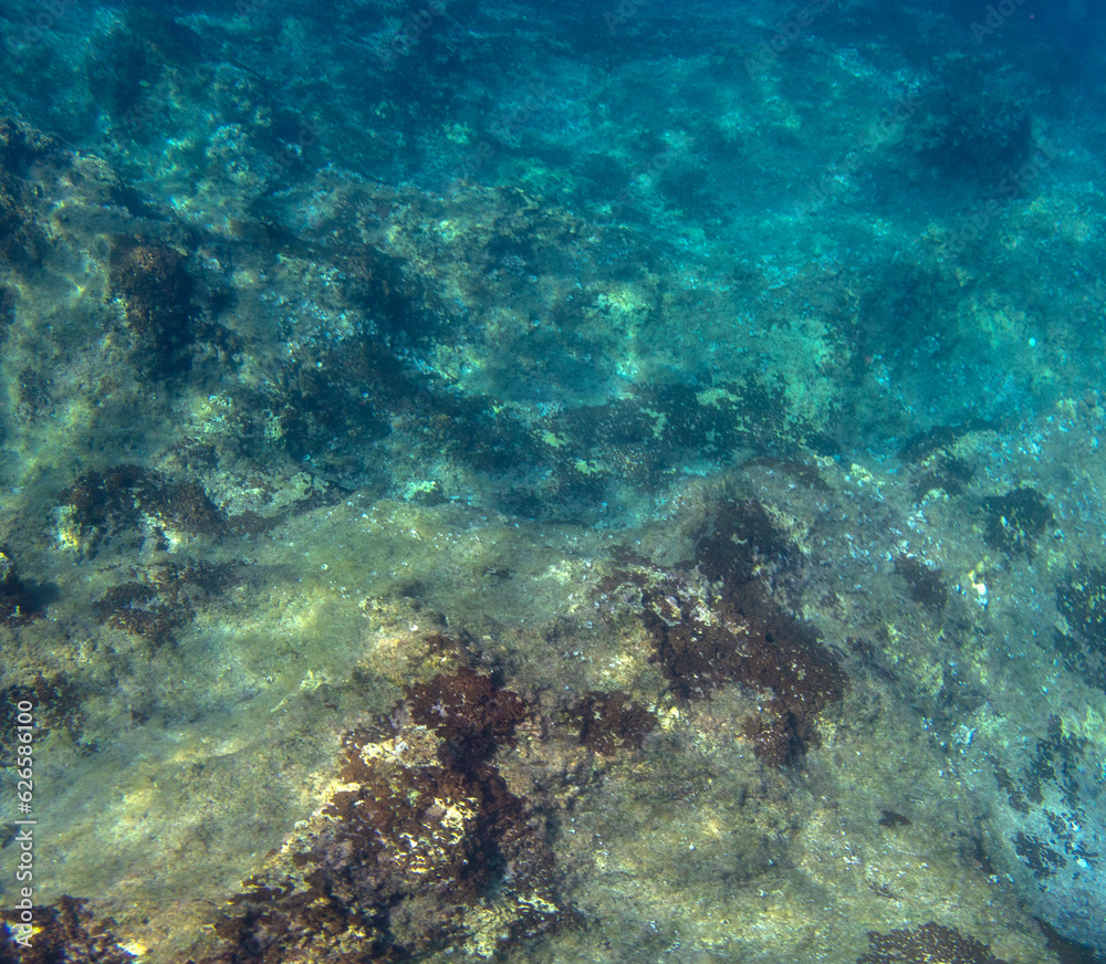 Vista subacquea di un fondale roccioso, Sfondo subacqueo 54c58
