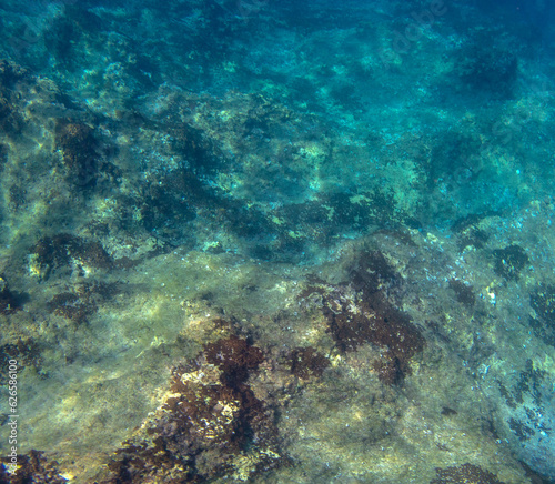 Vista subacquea di un fondale roccioso, Sfondo subacqueo 54c58 