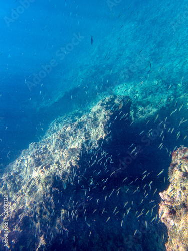 Vista subacquea della costa del Plemmirio
