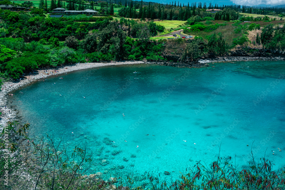 Honolua beach is a popular coral reef for snorkeling