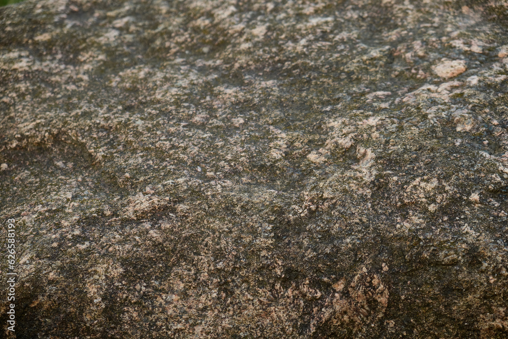 A large stone covered with moss lies on the green grass. Close-up. Sunlight on the right.