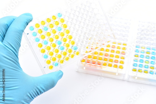 Enzyme-linked immunosorbent assay or ELISA plate, Immunology testing method in medical laboratory