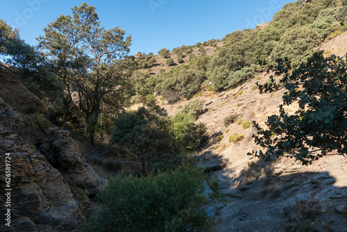 ravine in the southern Sierra Nevada