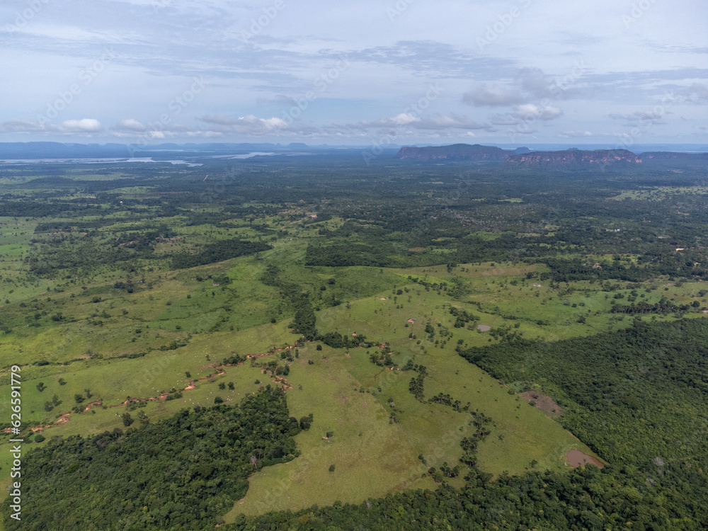 Panoramic view of region with Brazilian savannah forest and farms