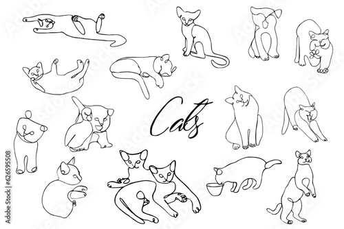 Cats in different poses line art set 