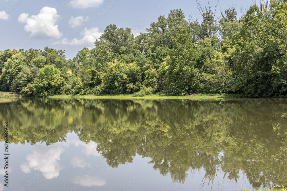 Beautiful lake pond set against the reflection of trees, blue sky and clouds. A sense of peace and escape from the city.