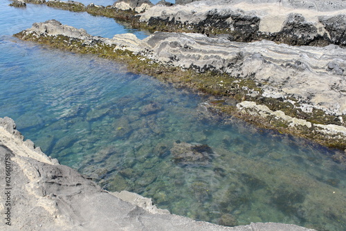 Fototapeta Naklejka Na Ścianę i Meble -  城ヶ島の海岸　The coast of Jōgashima