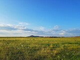a vast meadow