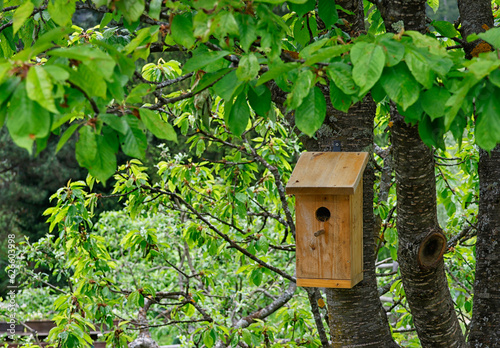 Image of a wooden bird house in a tree