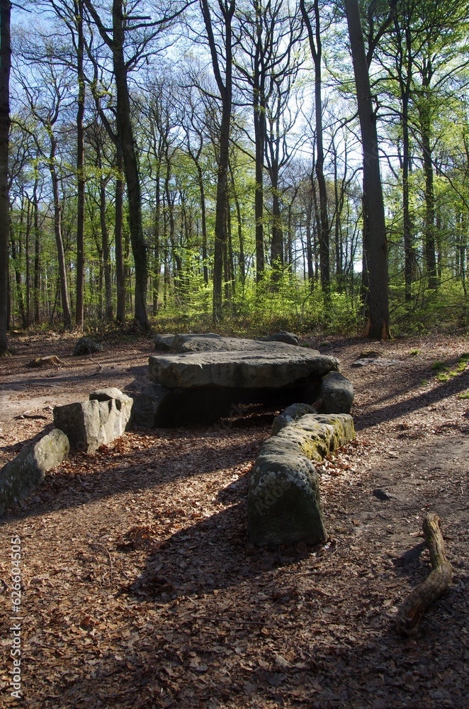 Prehistoric ruins in a forest near Paris in France, Europe Prehistoric ruins in a forest near Paris in France, Europe