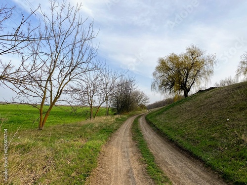 Rural dirt road between hills and green meadows trees without leaves blue sky during the day