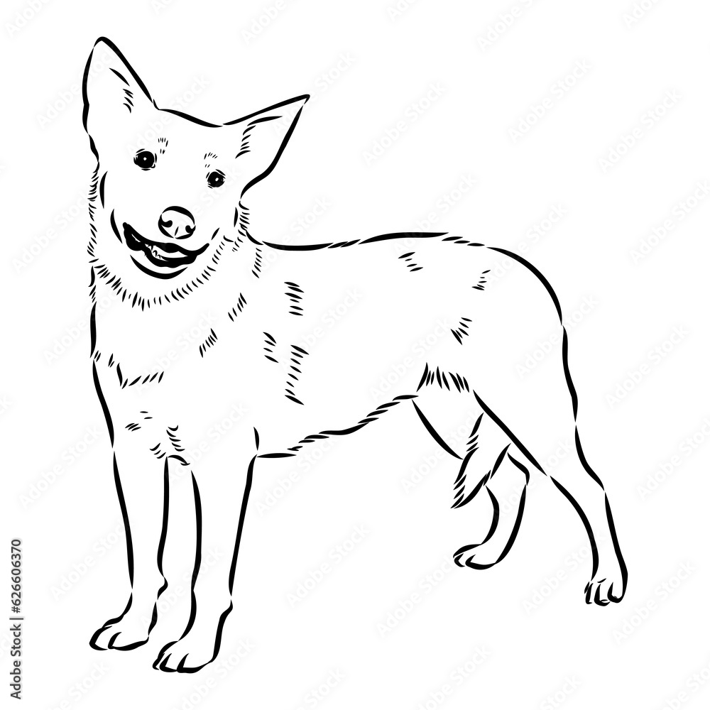 Decorative portrait of standing in profile Australian Cattle Dog, vector isolated illustration in black color on white background