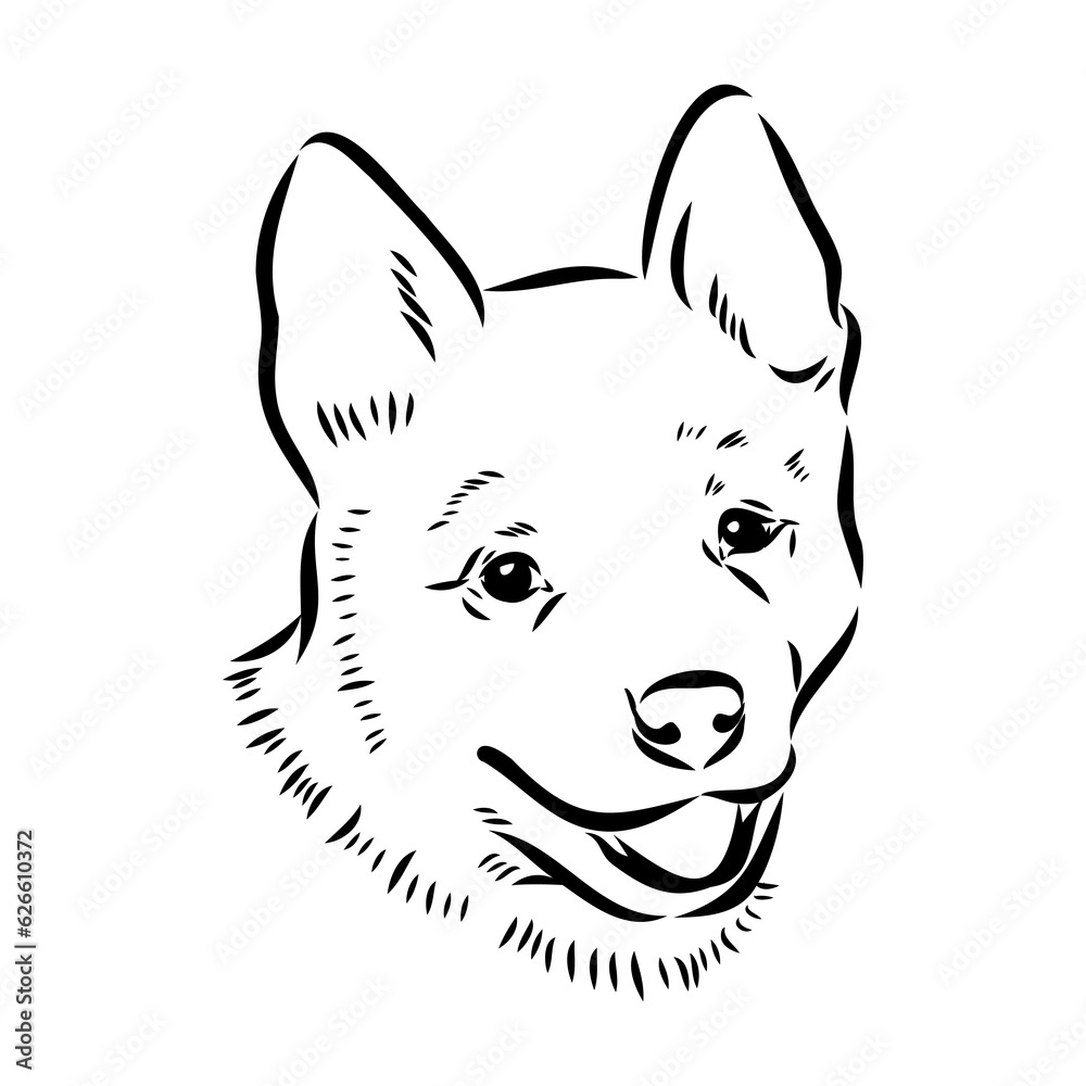 Decorative portrait of standing in profile Australian Cattle Dog, vector isolated illustration in black color on white background Decorative portrait of standing in profile Australian Cattle Dog, vector isolated illustration in black color on white background