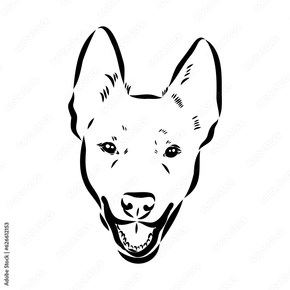 Decorative portrait of standing in profile Australian Cattle Dog, vector isolated illustration in black color on white background Decorative portrait of standing in profile Australian Cattle Dog, vector isolated illustration in black color on white background