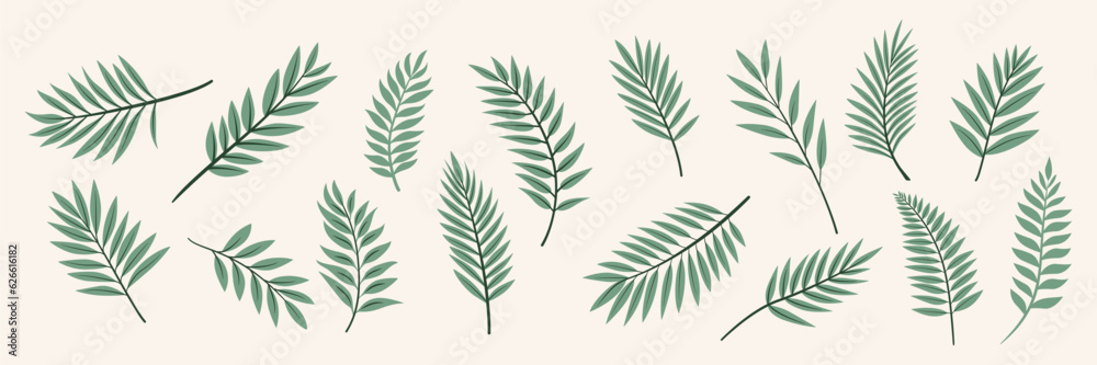 Flat Vector Tropical Palm Leaves Icon Set Isolated. Tropical Exotic Foliage, Sprig with Leaves, Tree Twig Collection. Decorative Tropical Leaf Design Element Making Brushes, Patterns, Frames etc.