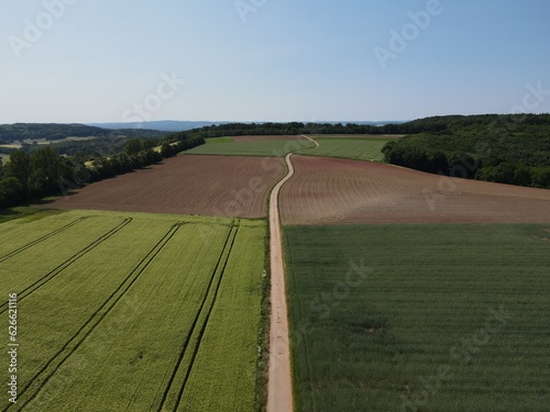 Agriculture land with green growing crop fields, plowed fields with soil, trees and a long tractor way on a sunny day with blue sky in summer © Mentor
