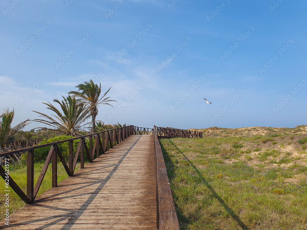 Vega Baja del Segura - Guardamar del Segura - Playas en dunas y accesos por pasarelas de madera