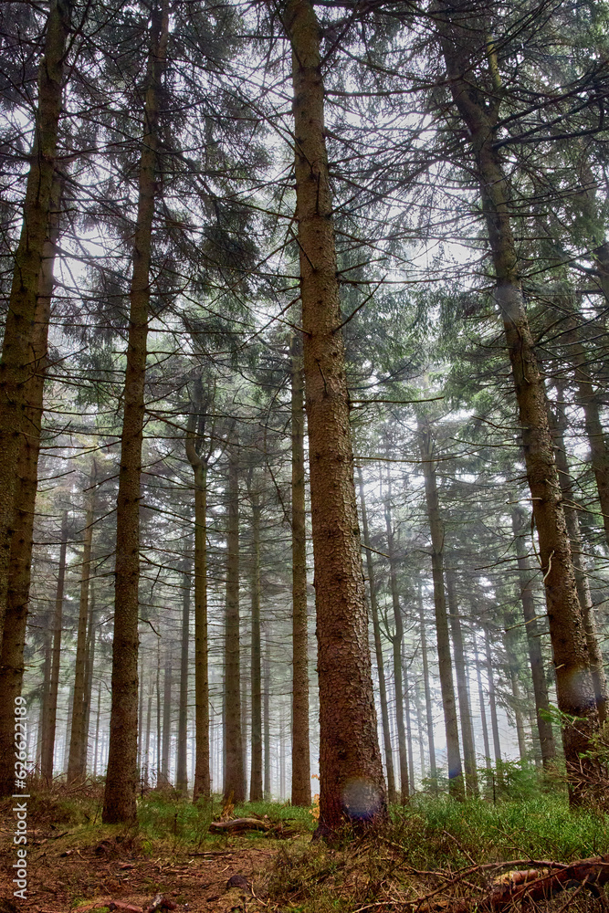 Fototapeta premium Góry, Wodospady