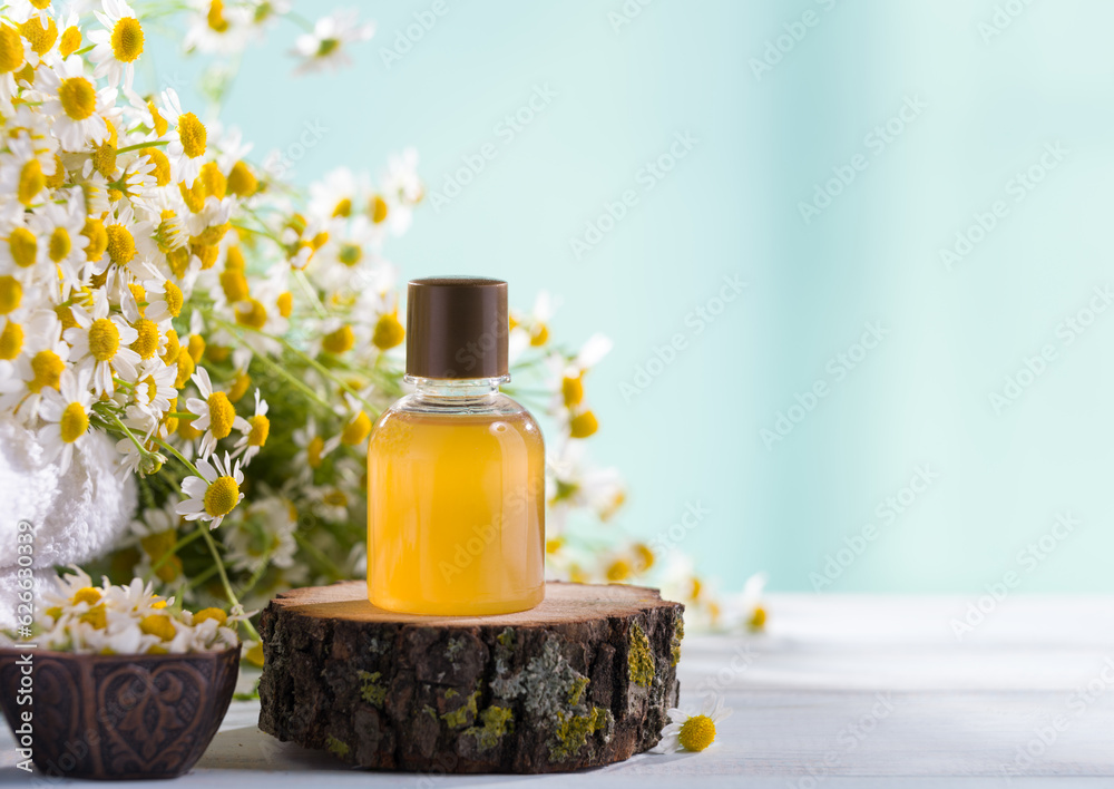 Spa and wellness concept. Composition with chamomile flowers and cosmetic bottle of essential oil bottle on light blue background Spa and wellness concept. Composition with chamomile flowers and cosmetic bottle of essential oil bottle on light blue background