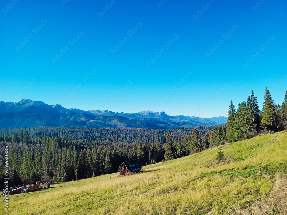 Sunny day in the mountains