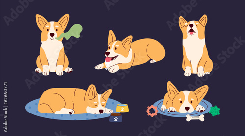 Dog Corgi characters in different poses with symptoms of dental problems. Sad, howling, not playing, salivation, foul mouth odor. Vector illustration cartoon style