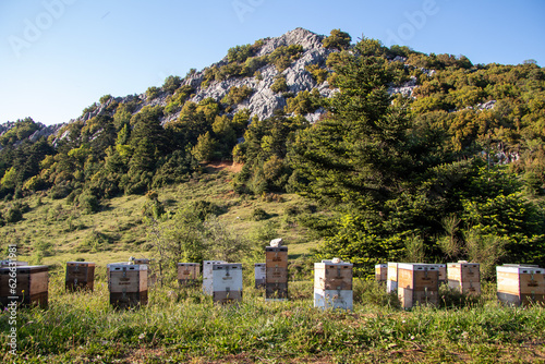 Apiary in the mountain meadow in Greece.