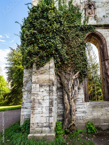 House of the Templers in public park at the river Ilm in Weimar, Thuringia, Germany. photo