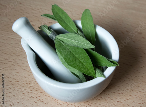 Mortar and pestle with fresh picked herbs sage on wooden background. Sage herb Salvia officinalis, food background. Alternative medicinal plants, medical herb