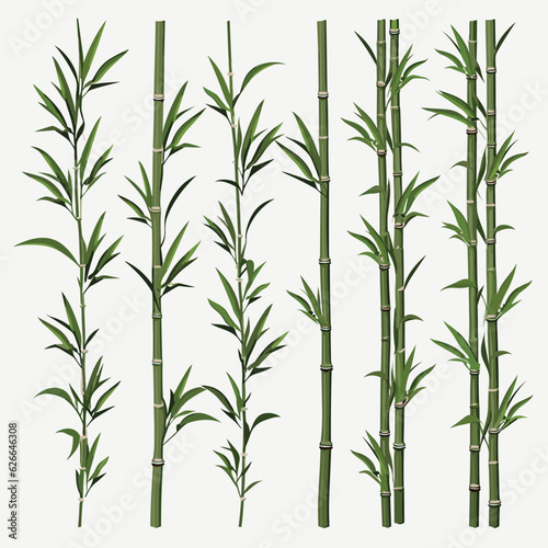 bamboo set vector flat minimalistic isolated illustration
