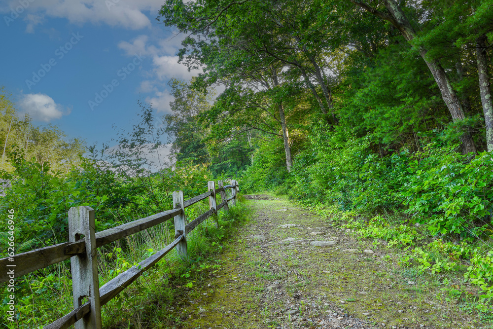 early morning on a trail  at the quabbin