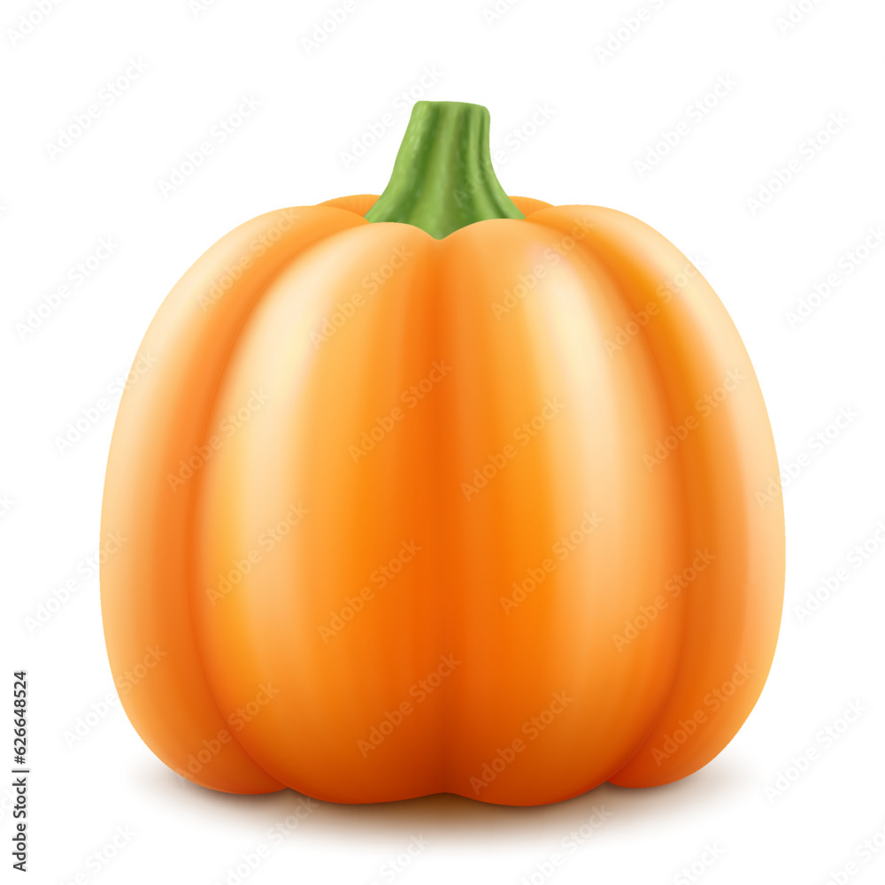 Pumpkin with green stem isolated on white background. Decorative art element for Thanksgiving, Halloween celebration layout design. Bright orange fruit. Autumn harvest festival. Realistic 3d vector Pumpkin with green stem isolated on white background. Decorative art element for Thanksgiving, Halloween celebration layout design. Bright orange fruit. Autumn harvest festival. Realistic 3d vector
