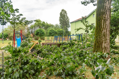 The storm broke the trees. Deferred trees after the storm