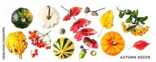 Fototapeta Naklejka Na Ścianę i Meble -  Decorative pumpkin, autumn berries and leaves set isolated. PNG with transparent background. Flat lay. Without shadow.