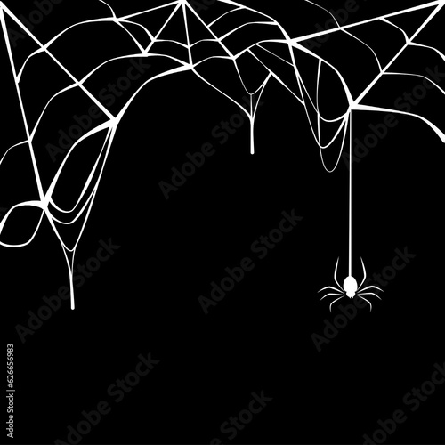 Black spider with torn web. Spider in Halloween festival. Scary spiderweb of Halloween symbol. Isolated on black background.
