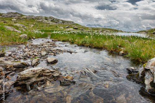 Ein Bergsee in den österreichischen Alpen mit Wollgras umrandet 