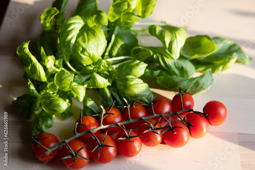 Fresh Italian sweet basil and tomatoes on a kitchen table in front of an open window at sunset