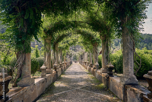 Jardines de Alfabia - Gärten von Alfabia auf Mallorca photo
