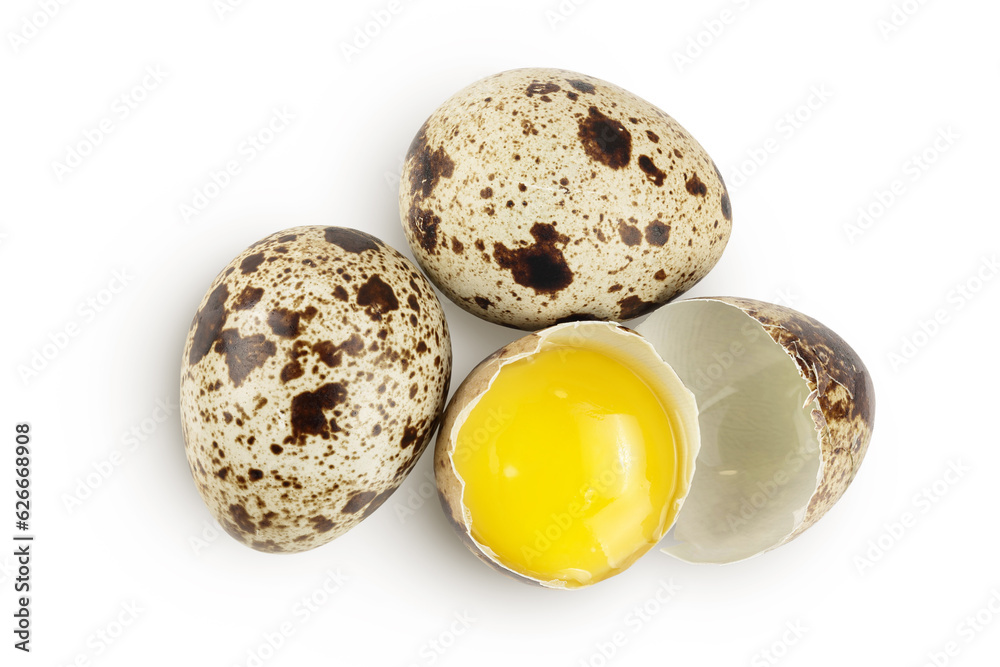 Obraz premium Raw quail egg isolated on white background with full depth of field. Top view. Flat lay