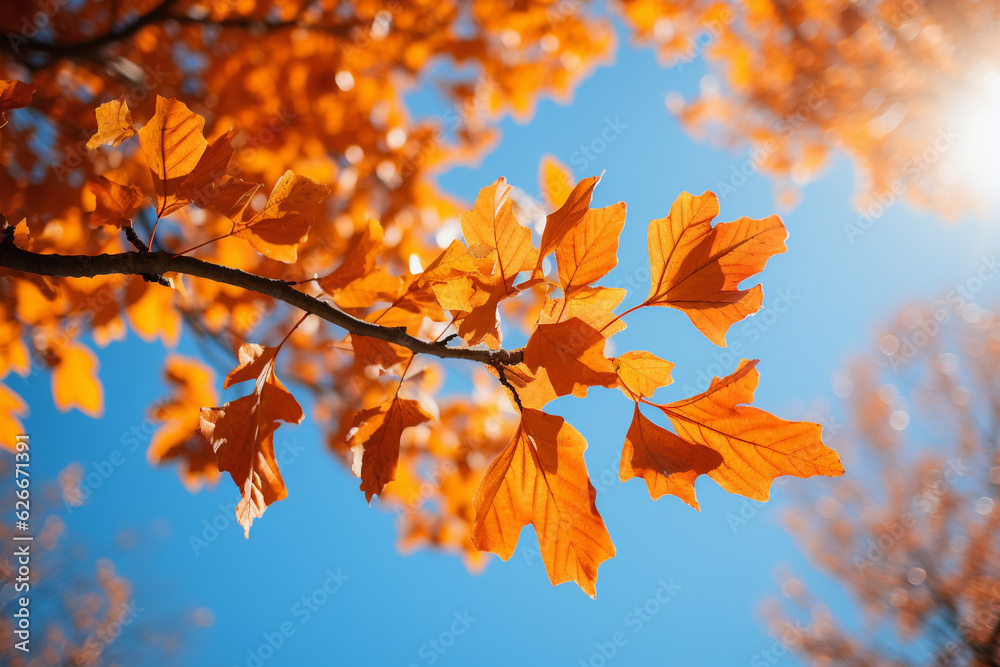 autumn leaves against a blue sky, generative ai autumn leaves against a blue sky, generative ai