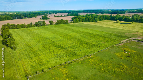 Horses out to pasture with distant cows and recently mowed grass fields aerial