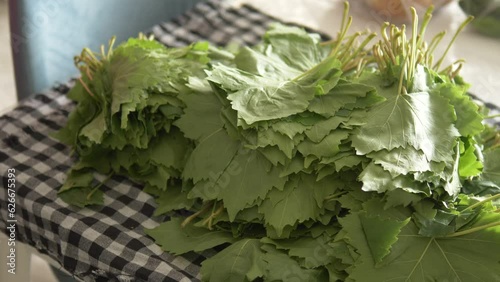 close-up grape leaves,vine leaves for stuffing,