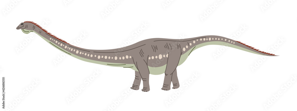 Obraz premium Haplocanthosaurus spined lizard sauropod dinosaur with long tail and spines on back isolated ancient animal. Vector dinosaur cartoon character