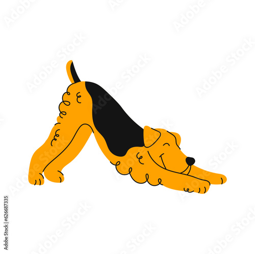 Stretching airedale terrier, cartoon dog animal, cute puppy character. Vector funny pet animal, smiling canine, adorable terrier