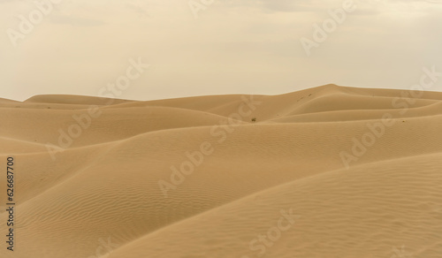 desert landscape for banner background