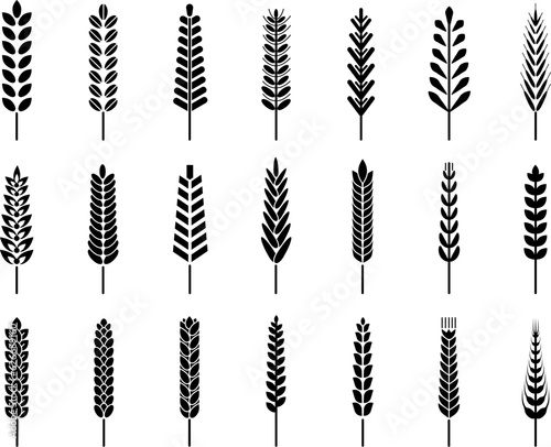 Isolated black wheat silhouettes icons. Barley rye ears, cereal agriculture symbols. Seasonal farm, organic bread or harvest decent vector signs