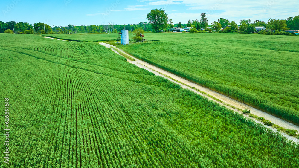 Green fields of grains with maintenance path cutting through the middle aerial