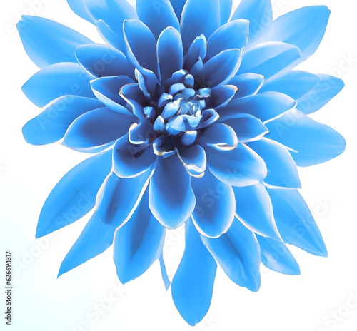 abstract blue flower © S