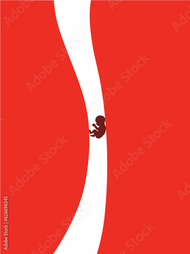 Stampa su tela The silhouette of a human fetus is seen in a white canal between fields of red in an illustration about birth, abortion, pregnancy and related medical concerns